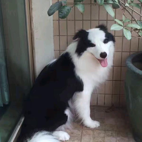 娜姐