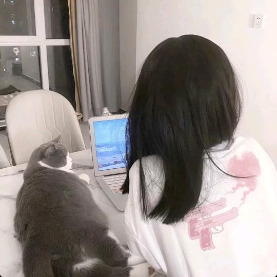 林乔