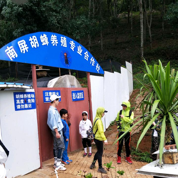 南屏胡蜂养殖专业合作社