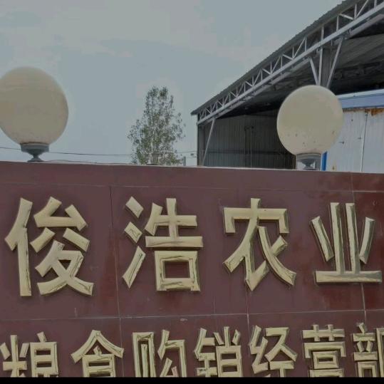 俊浩农业，汪