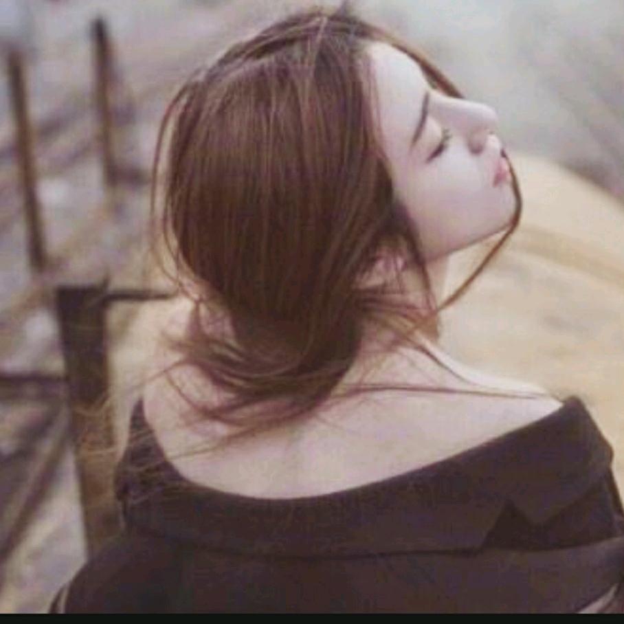 淡淡的优雅