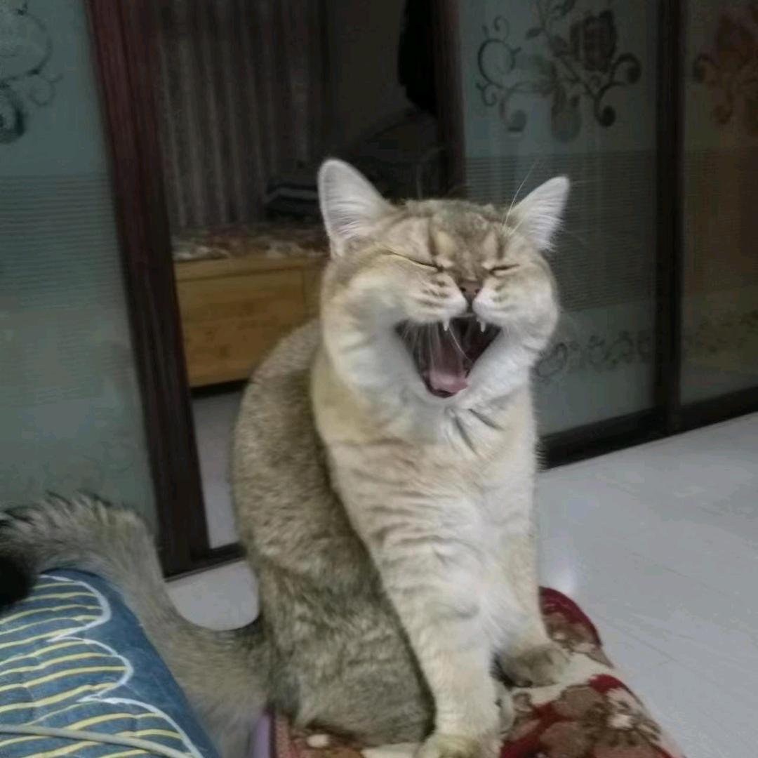 得胜有余