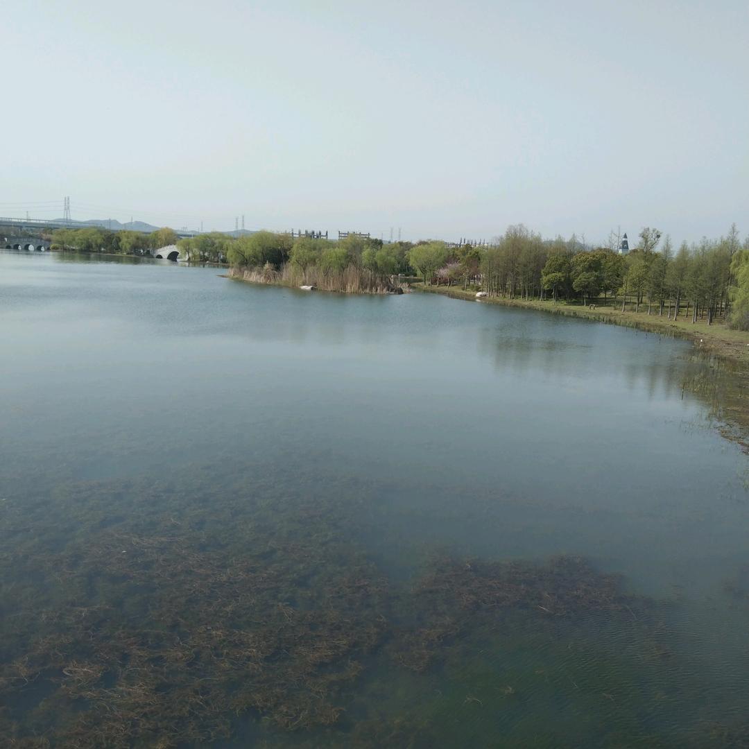 择路而驰