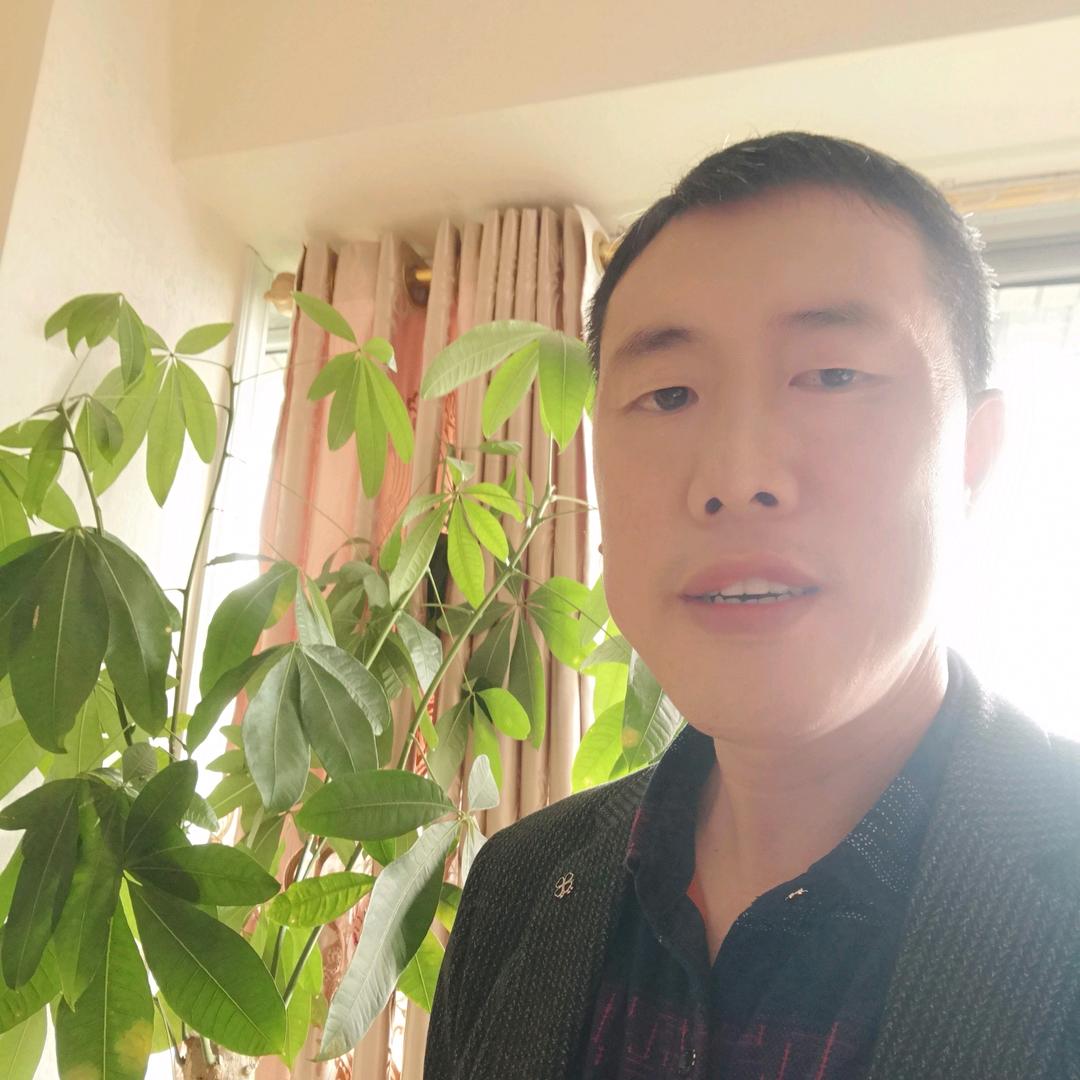 灿烂阳光
