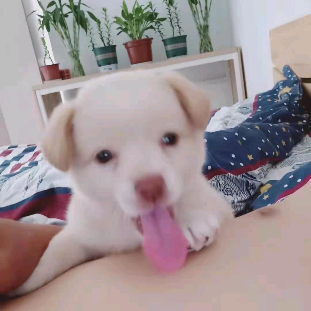 卜同以往の温柔