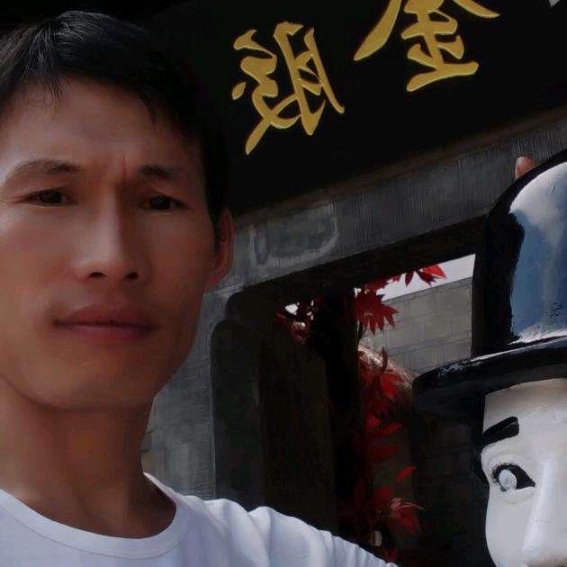 刘战力