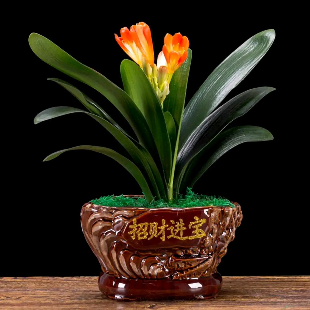 琪宝儿🌸🐠🎉