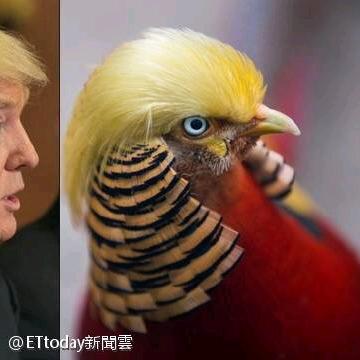 为之奈何