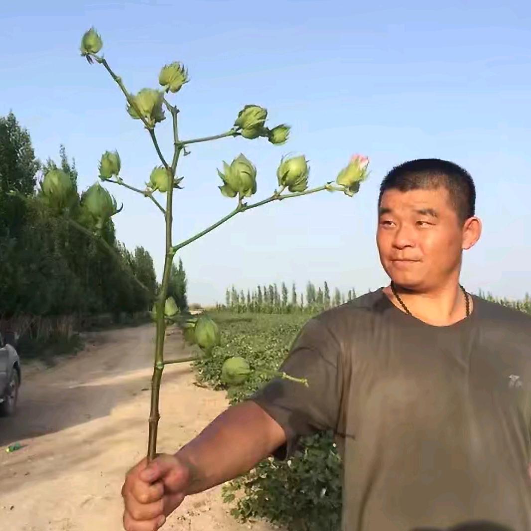 一个做农资销售的老兵