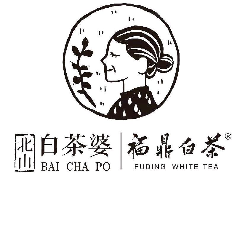 北山白茶婆