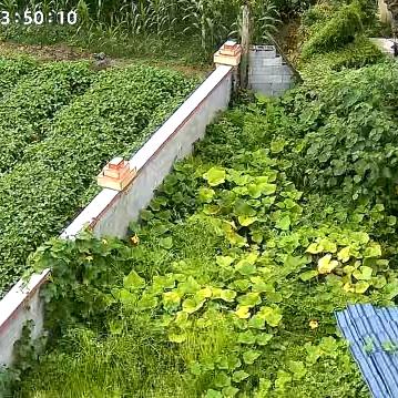 潇洒哥12