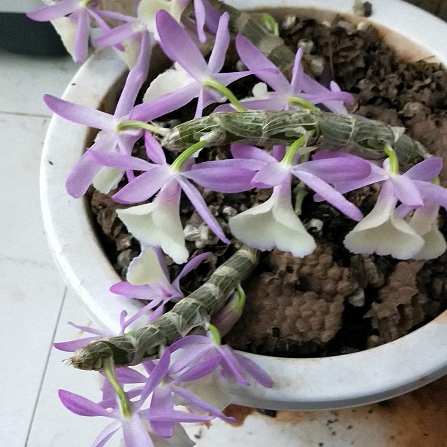 亿点目标