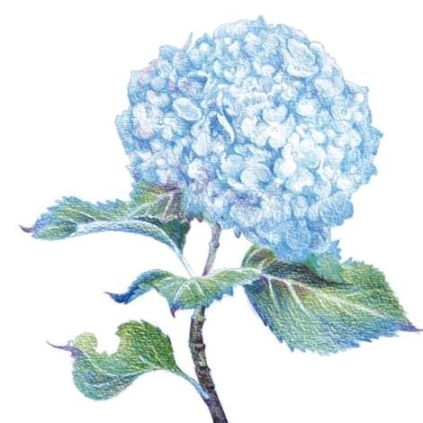 夏天
