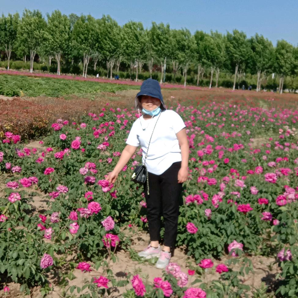 笑看人生@（谢绝私聊）