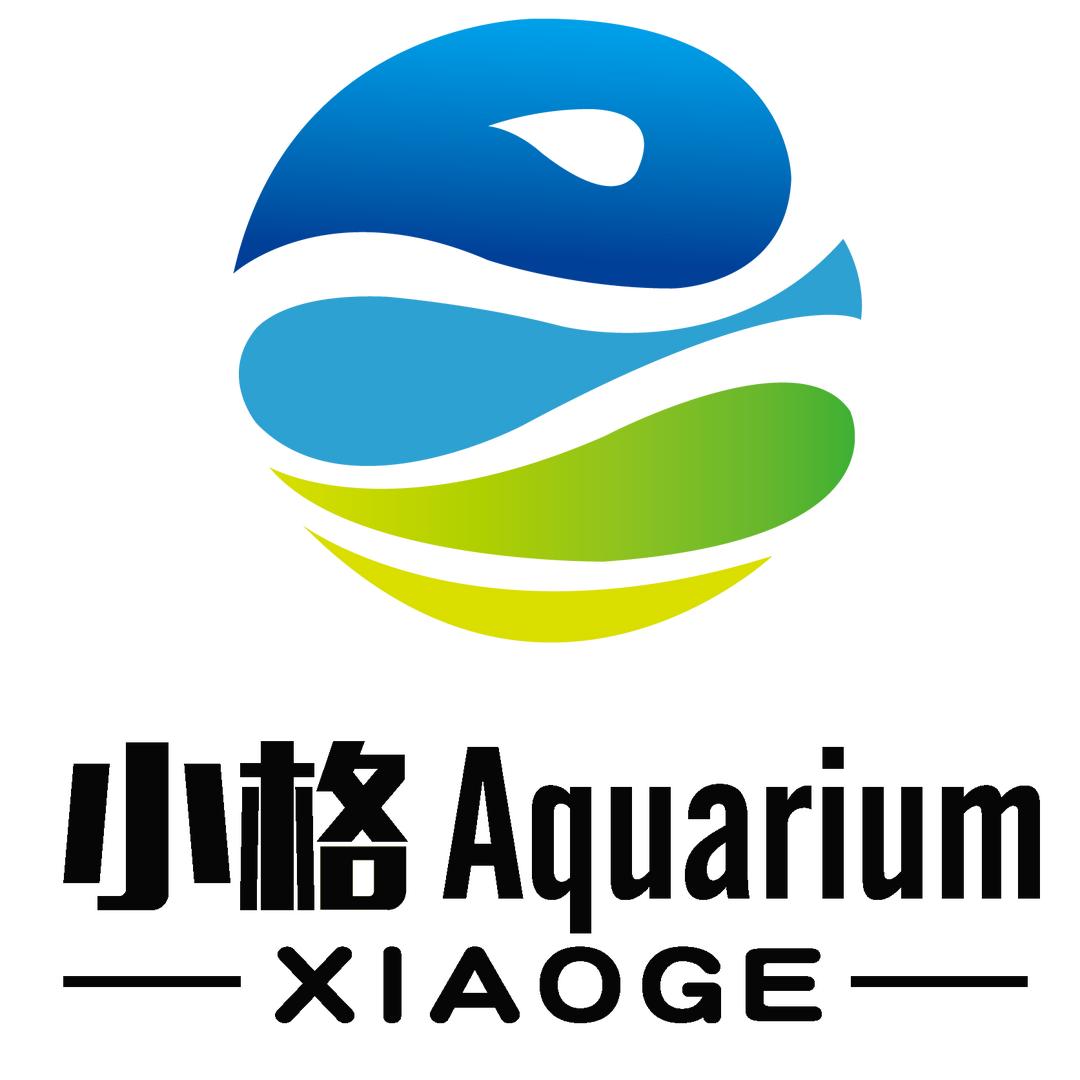 小格水族工作室(周转箱过滤)