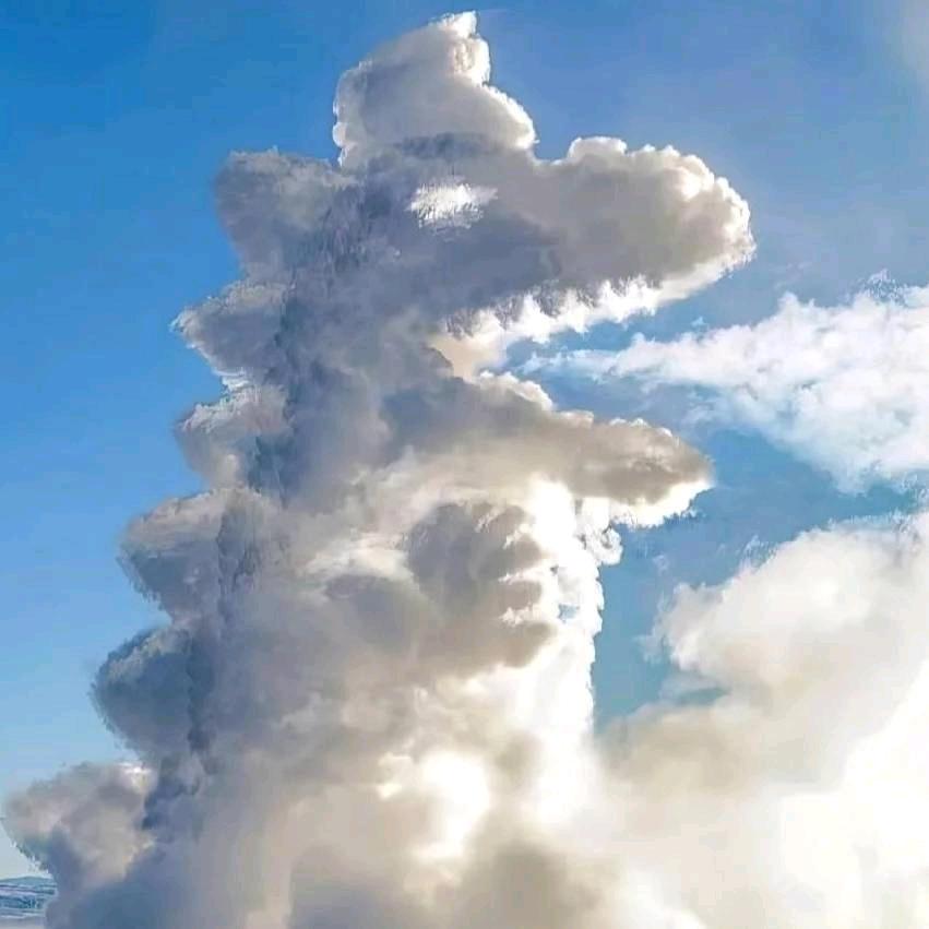 吃饱才能搬砖的图图