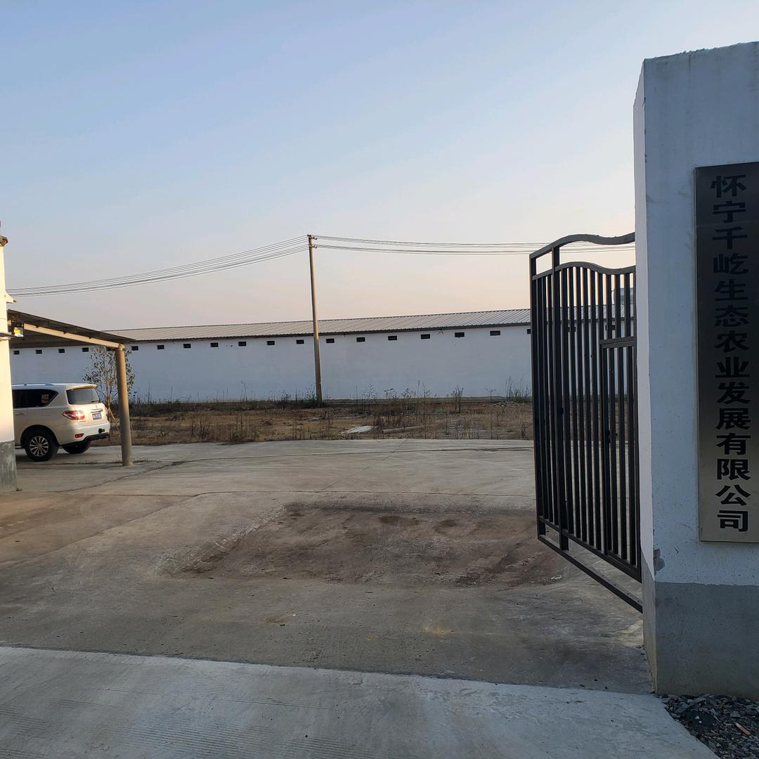千屹蛋鸡养殖场-李谢军