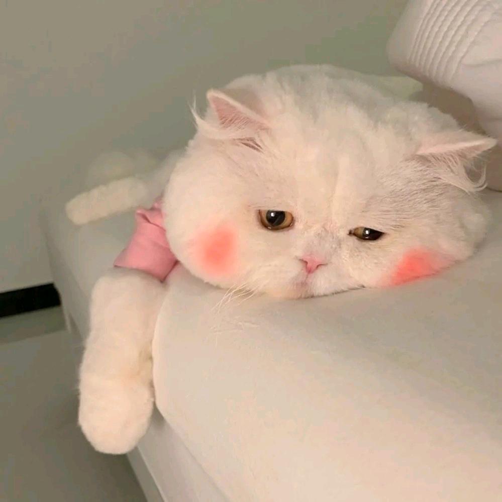 时光☆