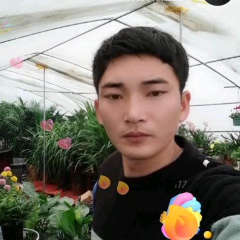 天资花木园官方号