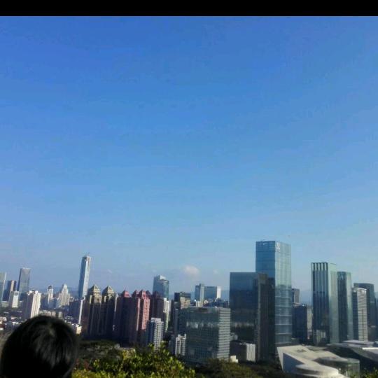 鑫鑫
