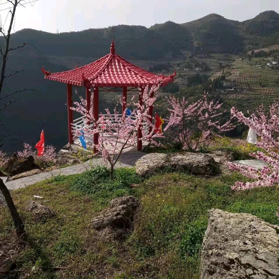 花开富贵。