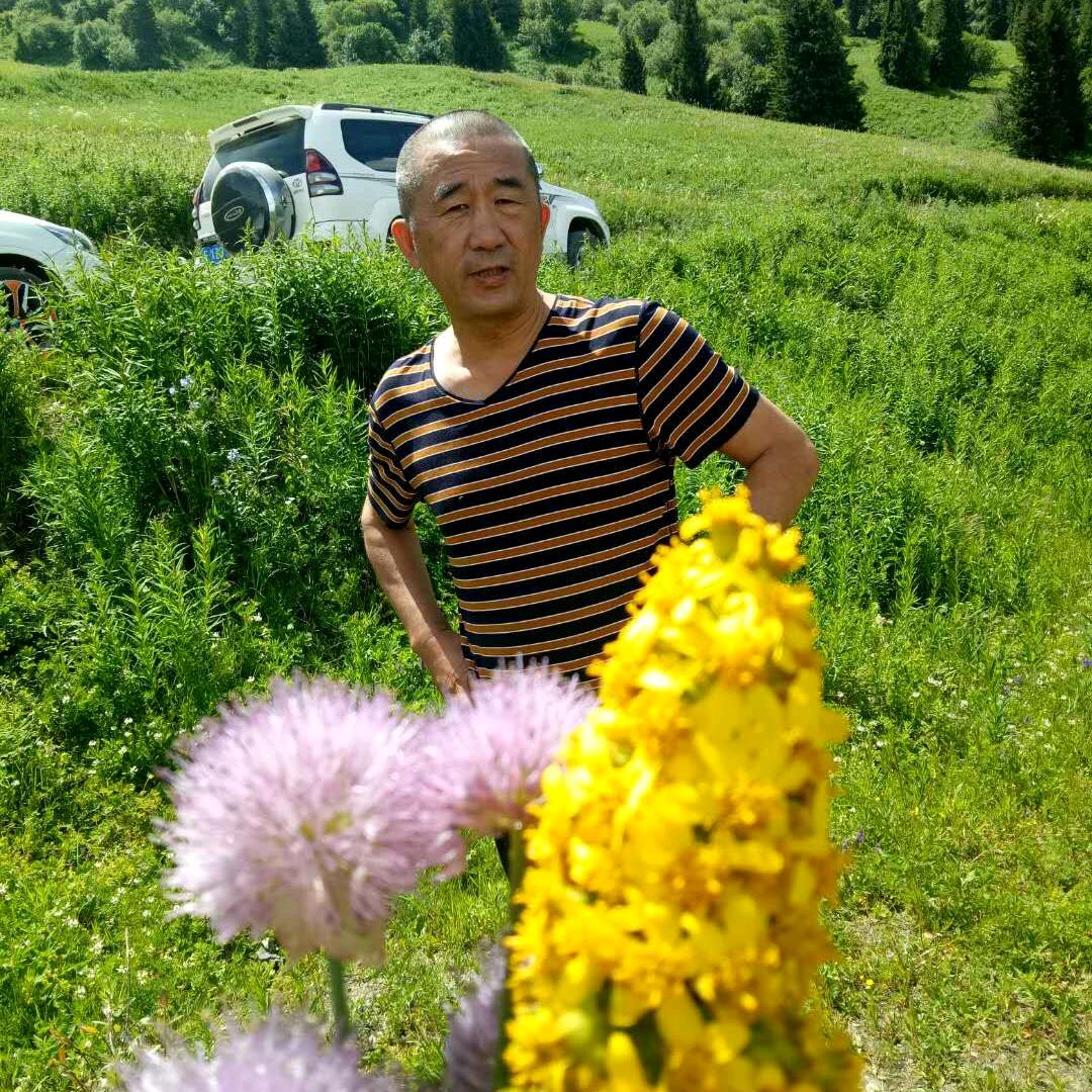 五马🐴