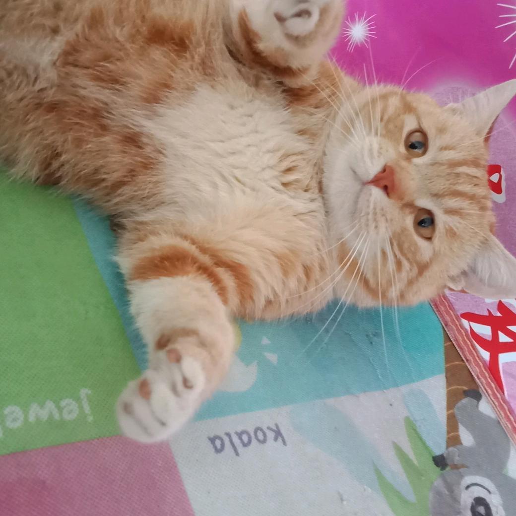 淘气包子😜😜