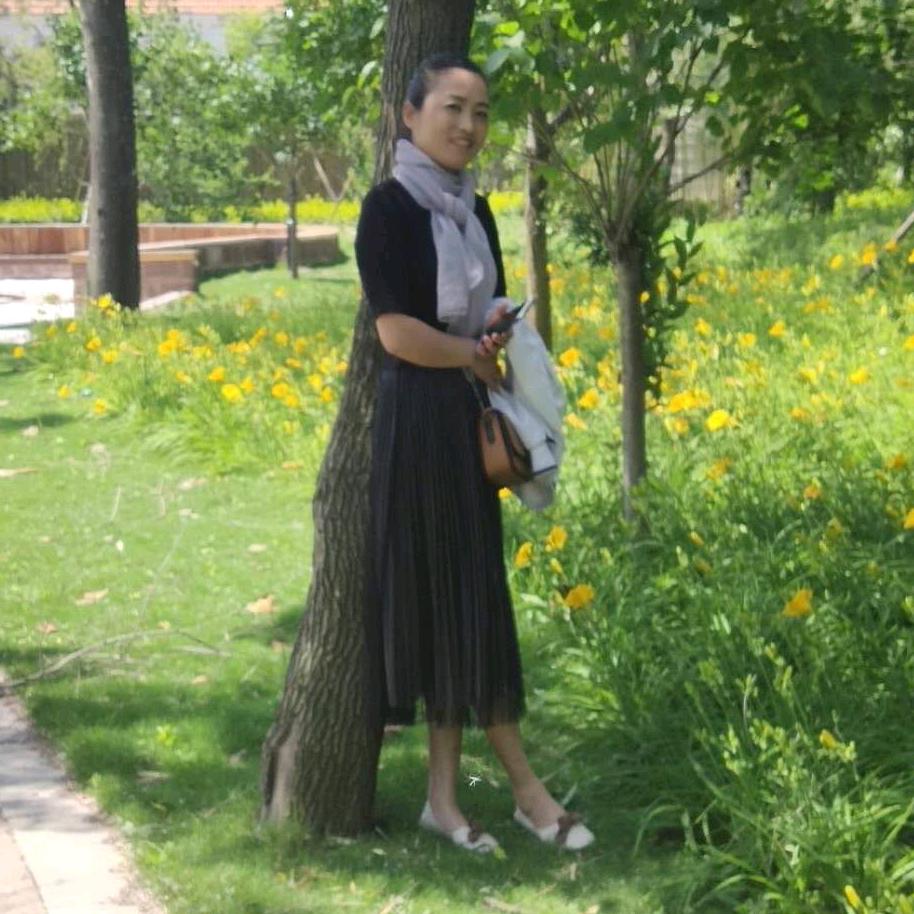 沈家大小姐