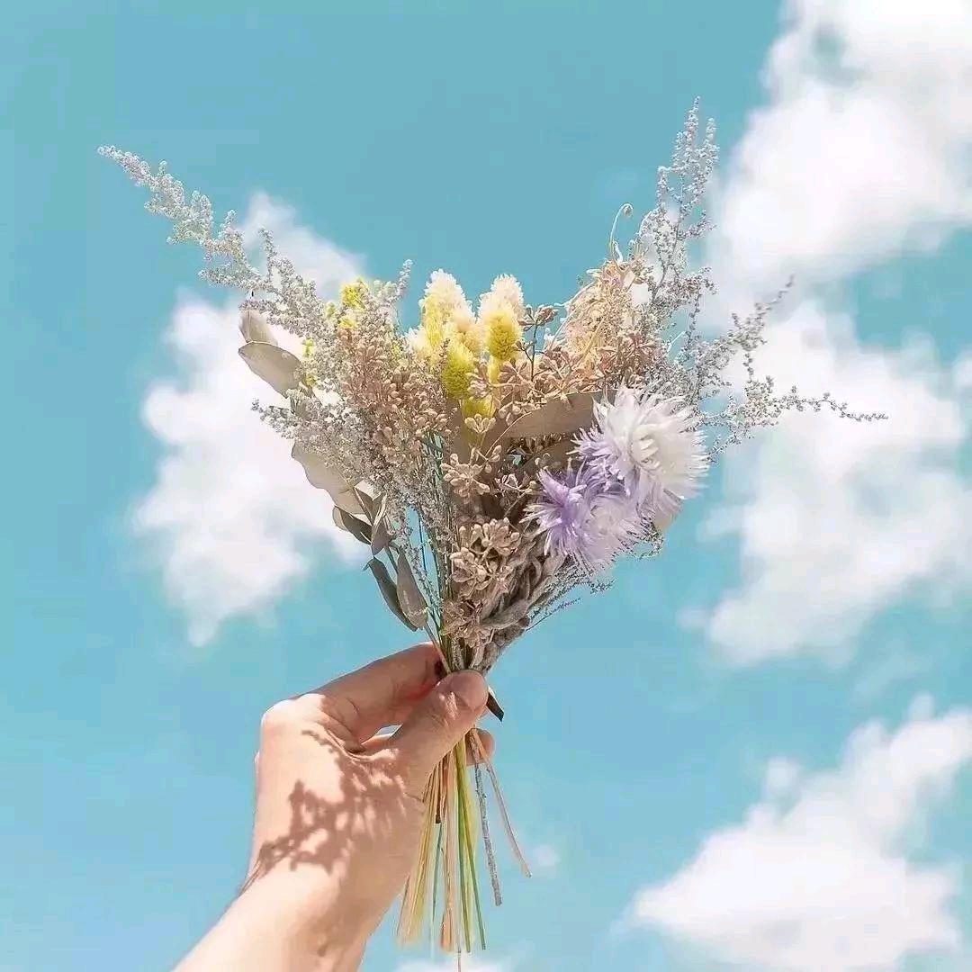 茵娜