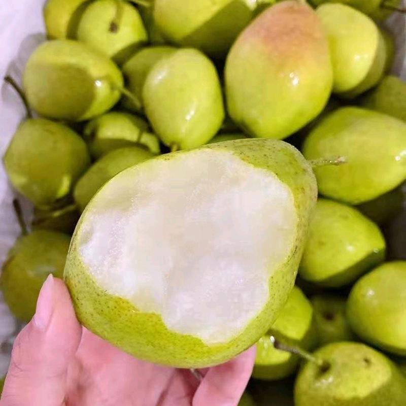 水果搬运