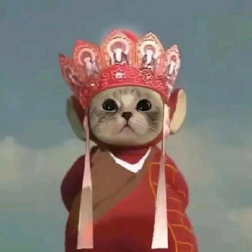 有点胖的小戴༒