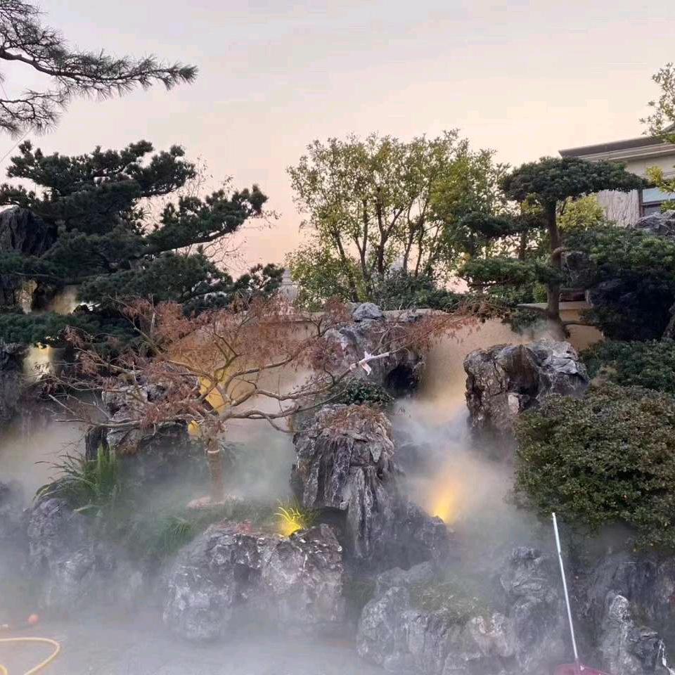 🌈唐唐🌈