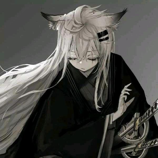 晚风今天玩什么