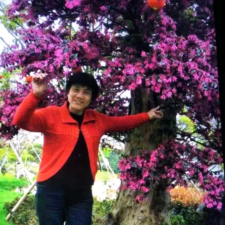 陈阿姨惠乐购
