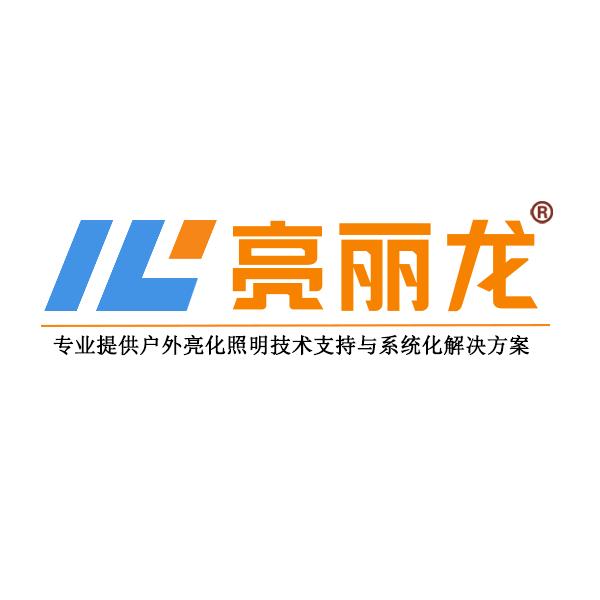 LED户外亮化灯具厂家-亮丽龙照明
