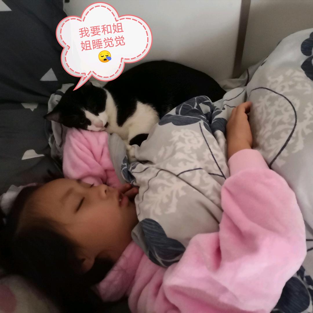 多多小可爱