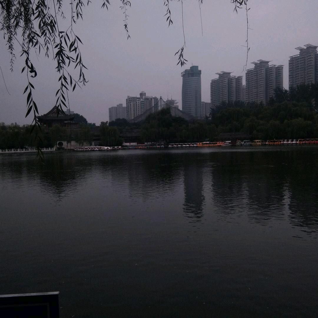 寒梅飘香