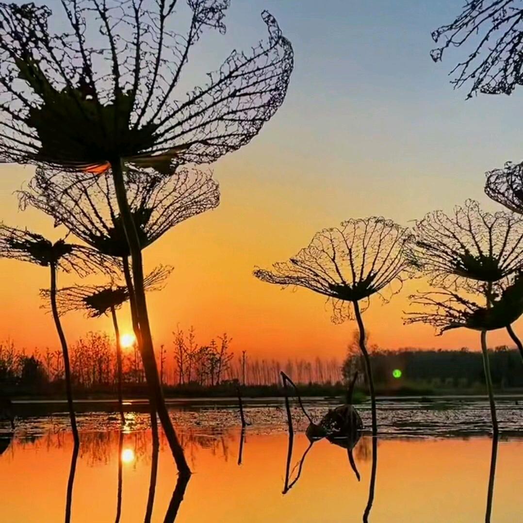 ℳ̶̶̶̶໌໌້ᮨ꧔ꦿ*꯭͡暗里ね着迷