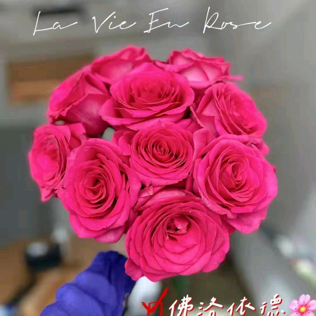好好生活🙏