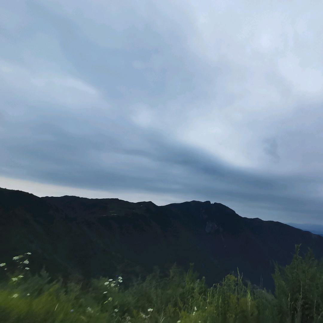 王马飞