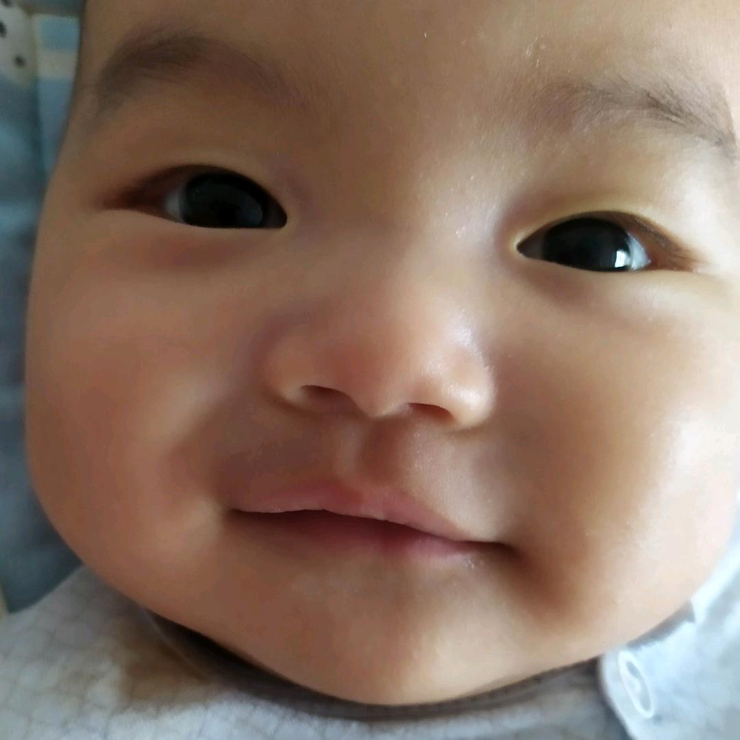 齐琪
