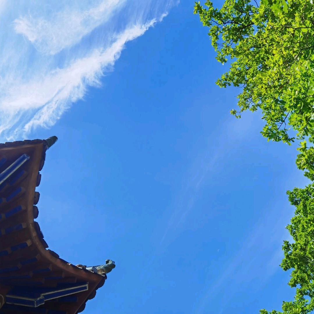 星星之火🏸