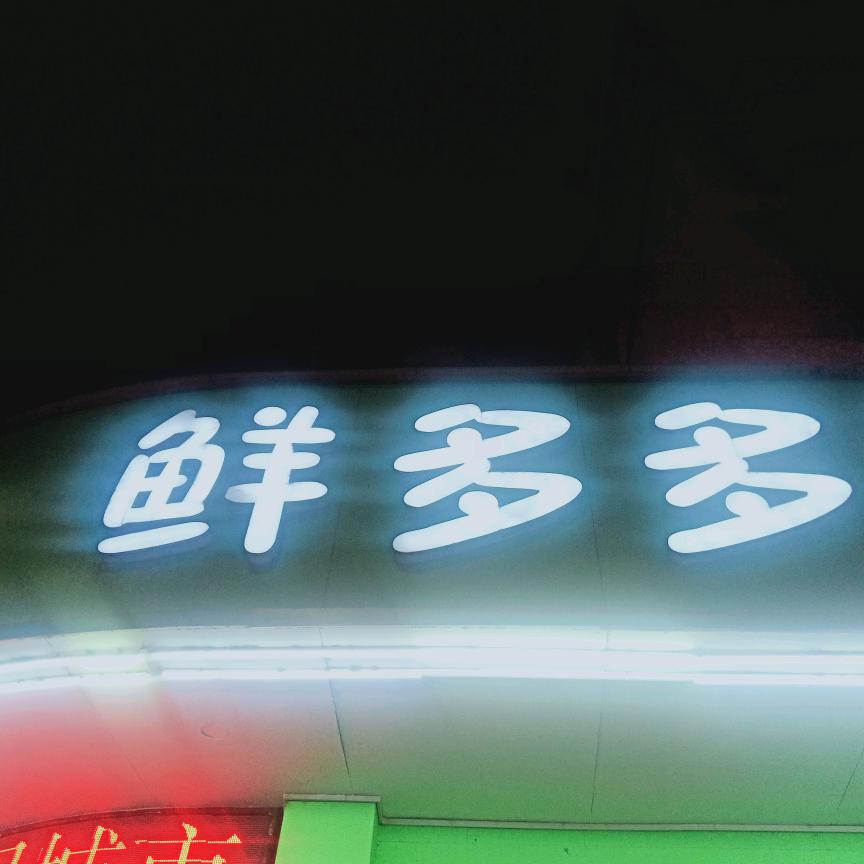 琴