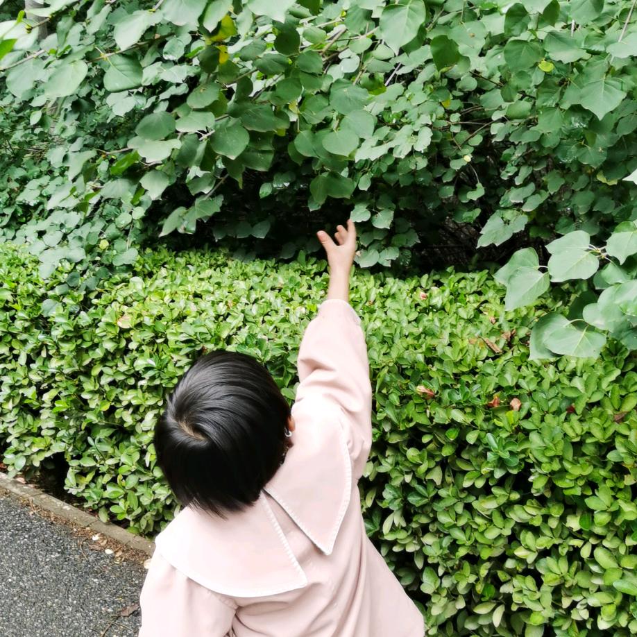 婉秋