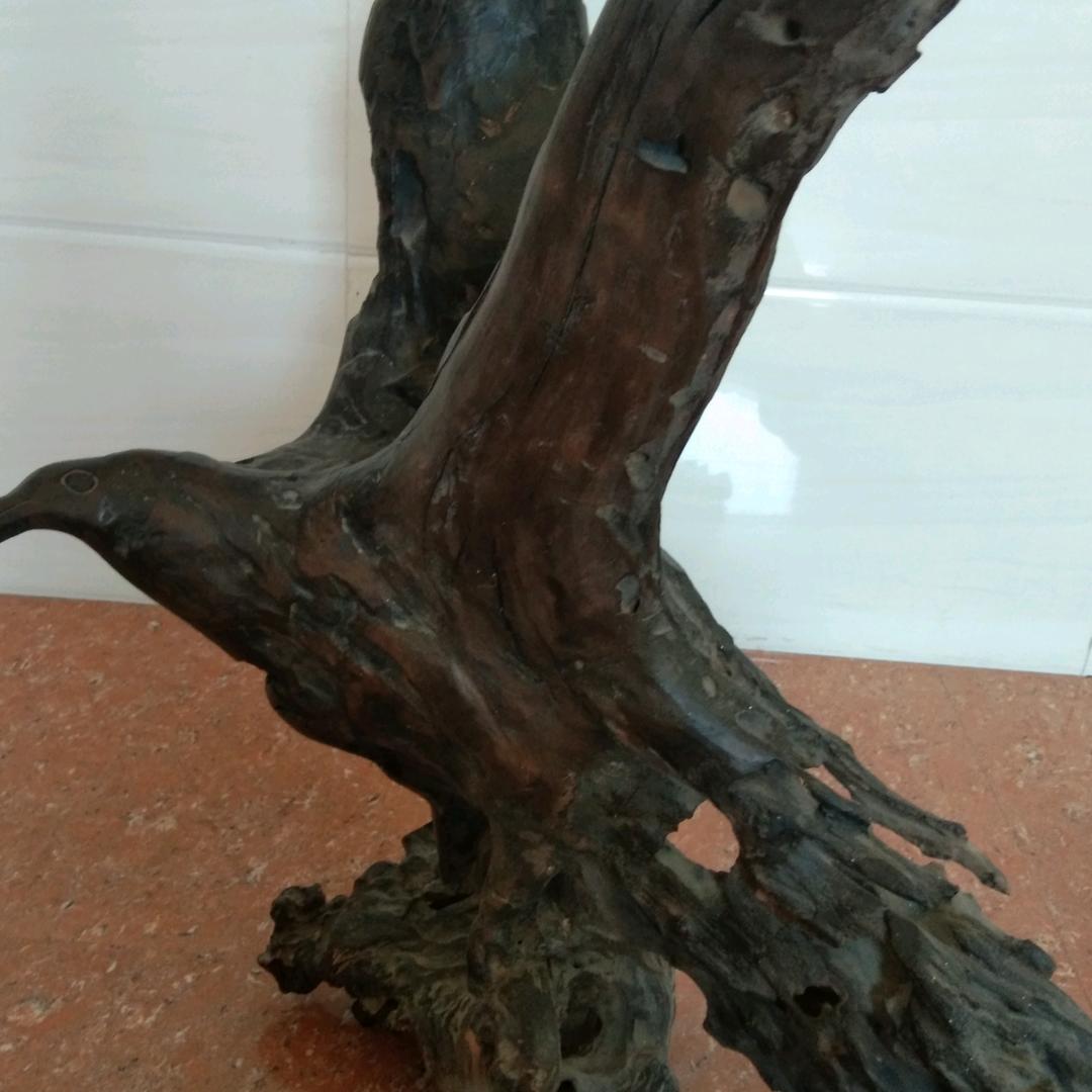 我是一棵小草