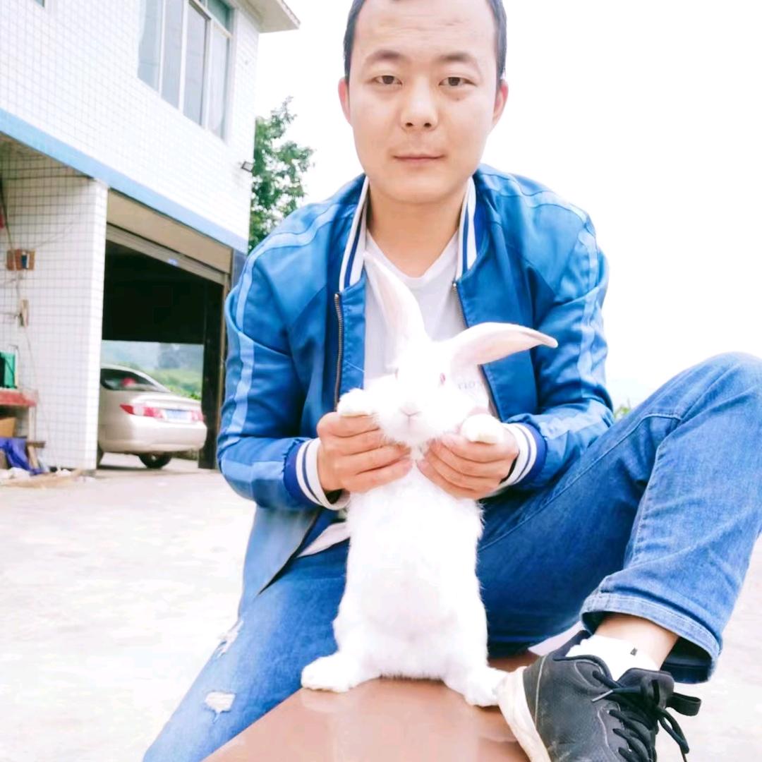 兔子哥，小曾