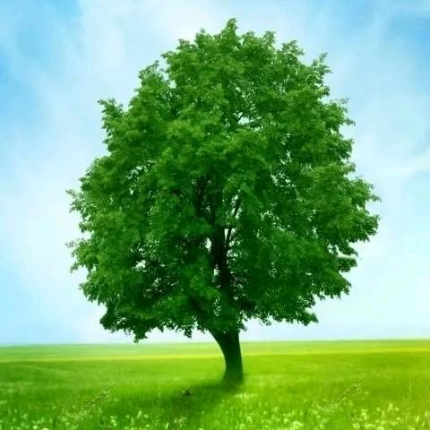 瑞轩影视@二次元