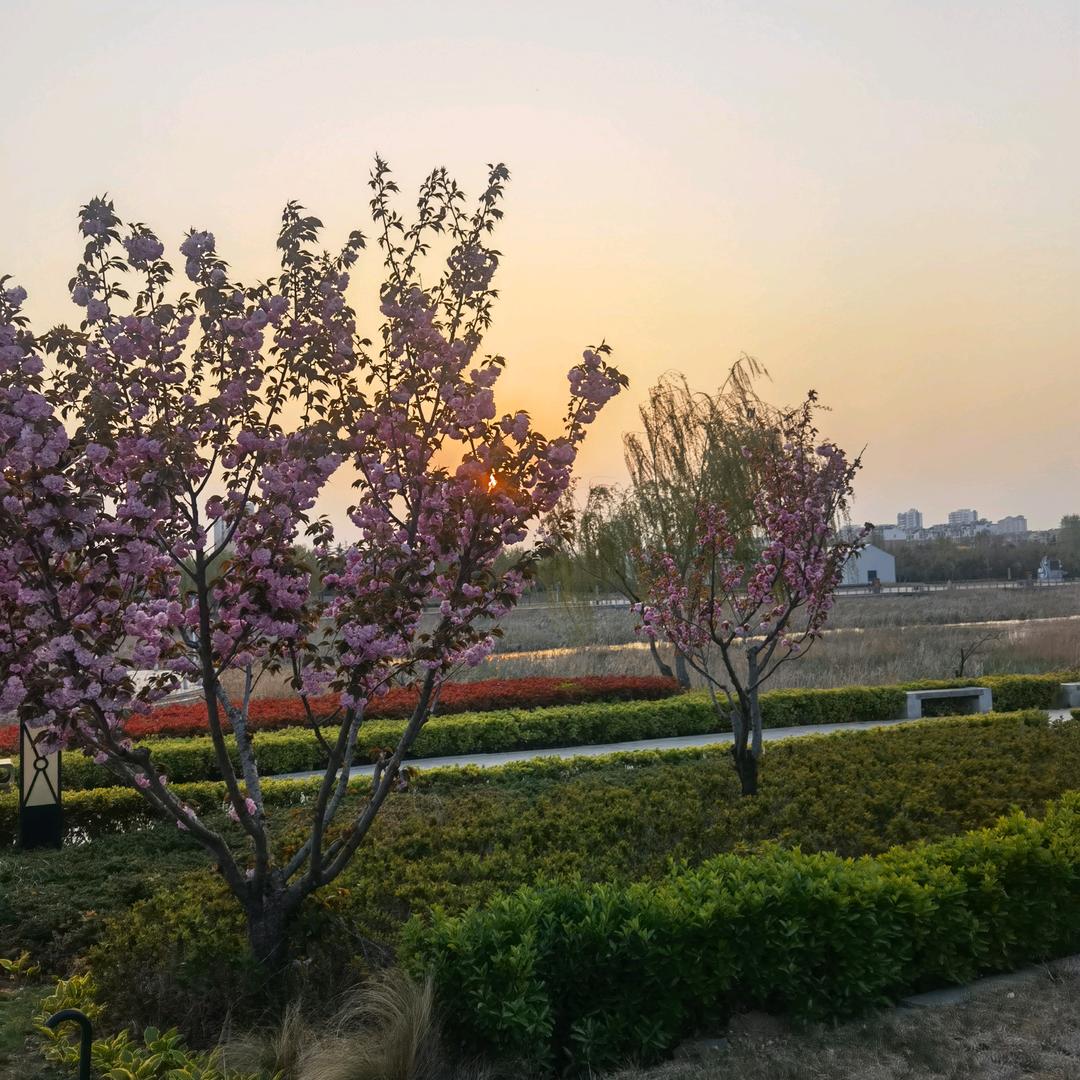 南山夜话