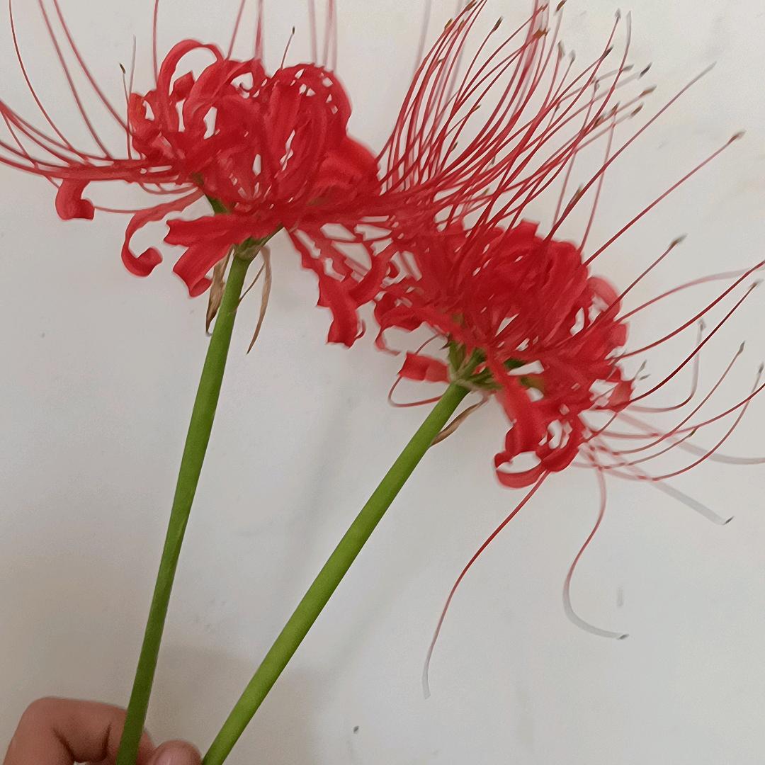 爱你一生一世