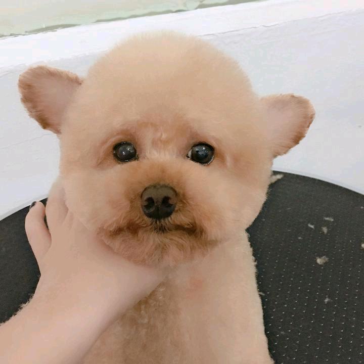幸运小富婆